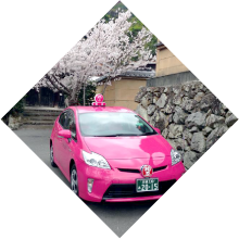 京都、桜とピンク色のタクシー